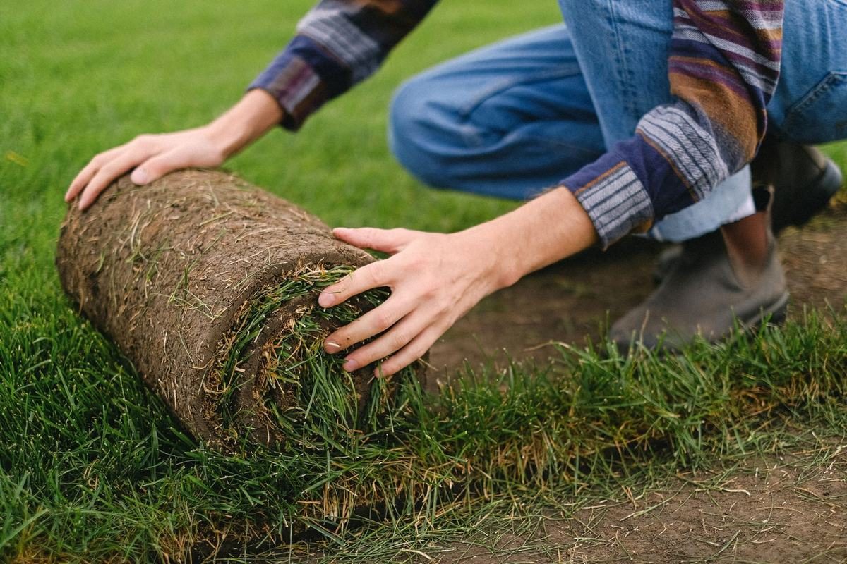 Fresh natural turf being laid over prepared soil in a Teesside garden